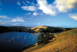 Image of yachts moored at a bay on Waiheke Island.