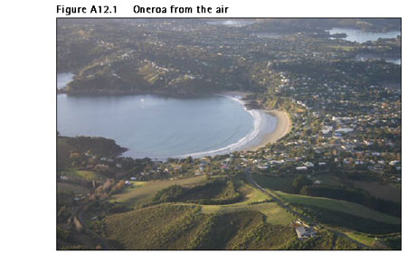 Figure A12.1 Oneroa from the air