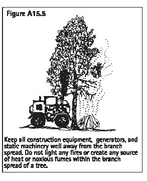 Figure A15.5 Heat or fumes within branch spread