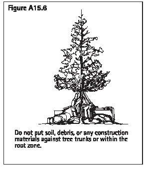 Figure A15.6 Do not put soil, debris or any construction materials against tree trunks or within the root zone