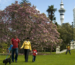 Family in a park.