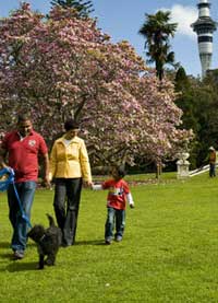 Family walking in park. 