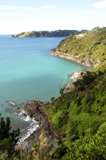 Great Barrier Road looking east towards Thompson's Point, Waiheke. 