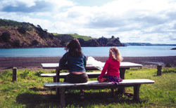 Matiatia Bay, Waiheke. 