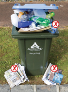 Image showing reasons why your bin might not be emptied