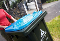 New blue-lidded recycling bin.