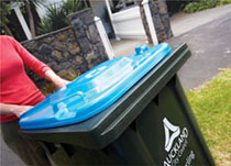New recycling wheelie bin. 