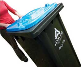 Council Services
