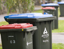 Rubbish and recycling bins.