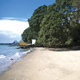 Sketch of proposed Orakei Point development.