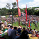 Grey Lynn Park Festival.