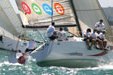 BMW Auckland Regatta.