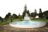 Image of the Jellicoe Park fountain