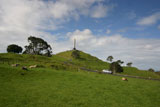 Image of One Tree Hill Domain
