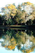 Image of Panmure Basin