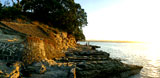Image of Pt Chevalier beach